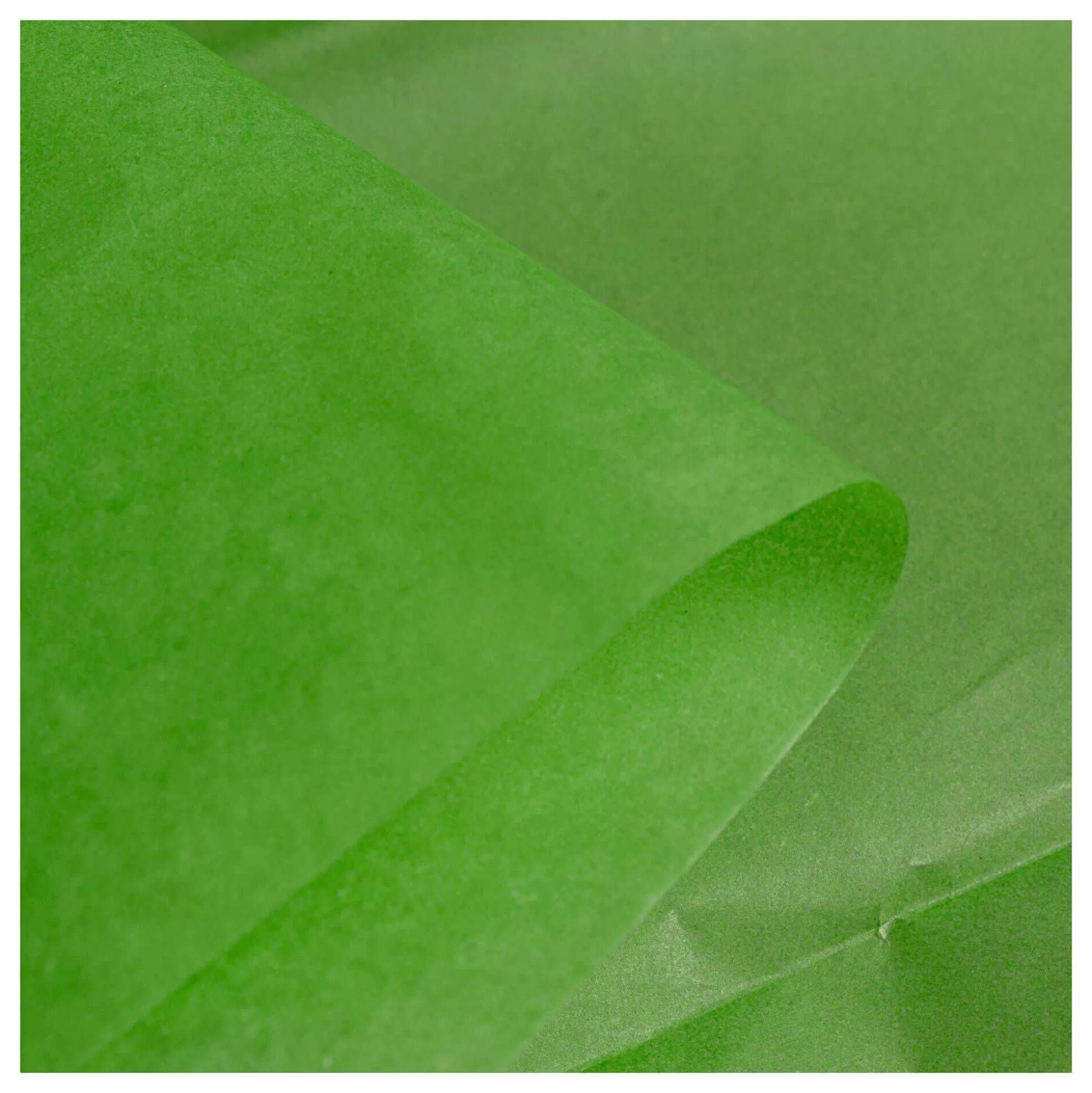 Apple Green Tissue Paper 50Cm X 75Cm 6 Pack-Hobbycraft Online