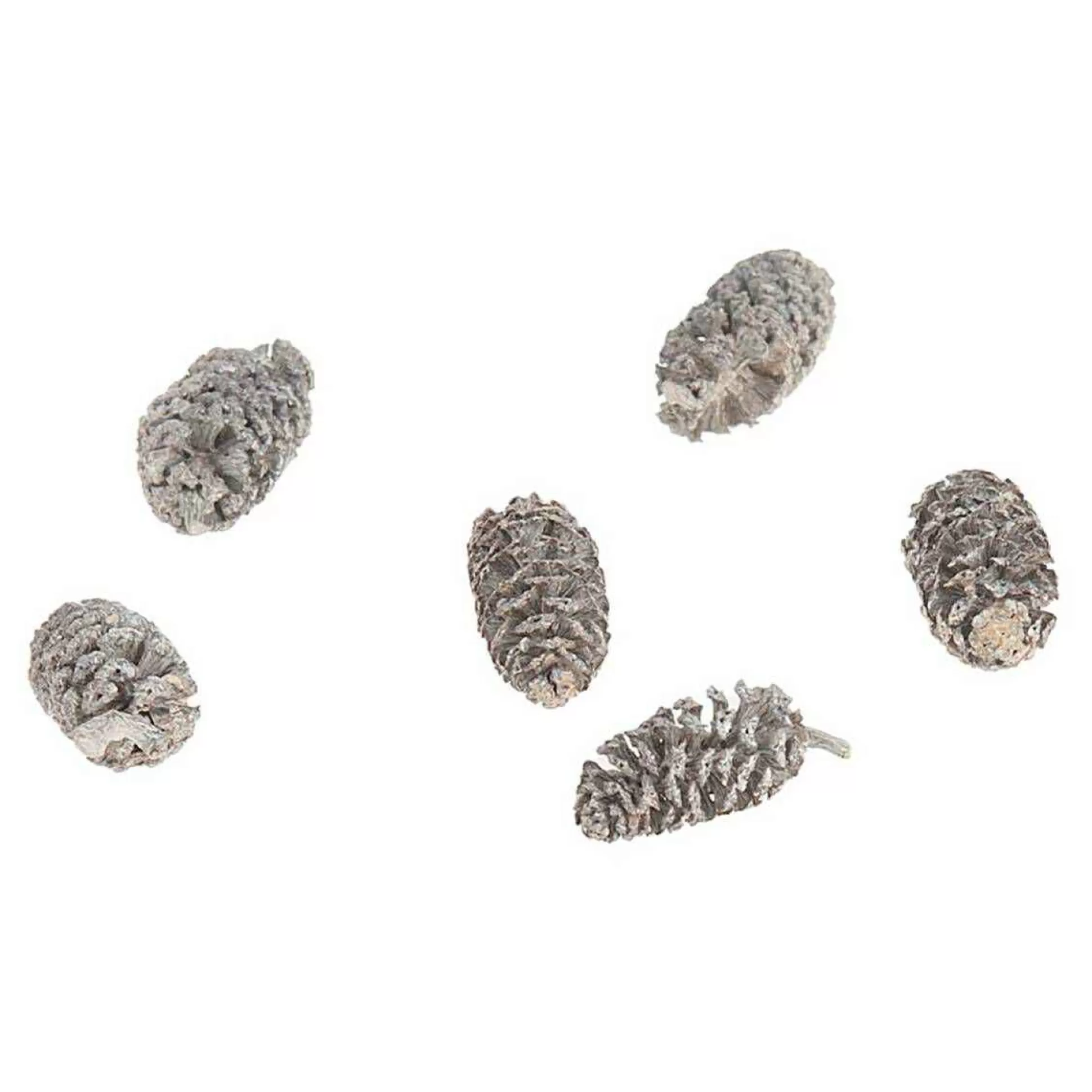 Birch Pine Cones 50 G-Hobbycraft Discount