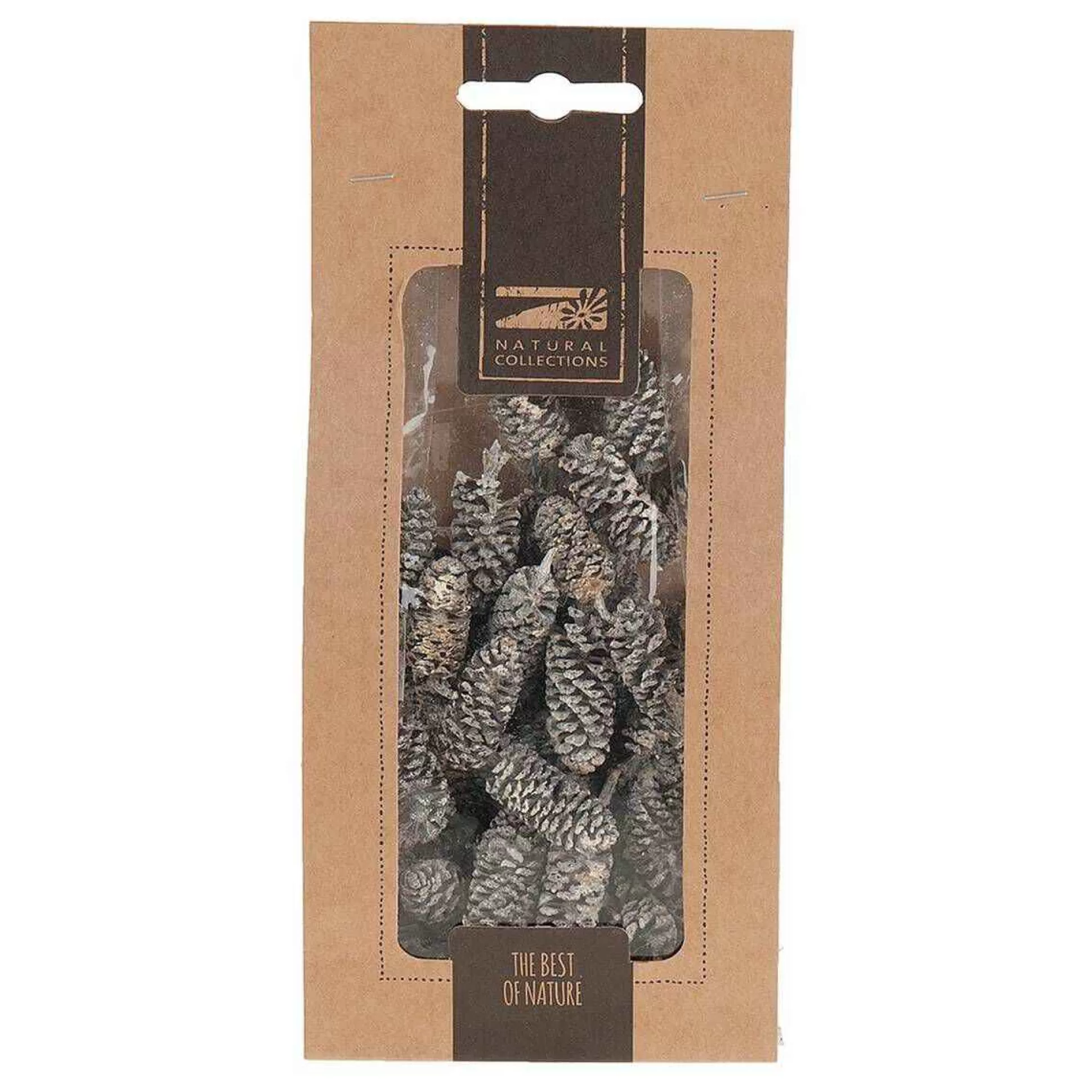 Birch Pine Cones 50 G-Hobbycraft Discount