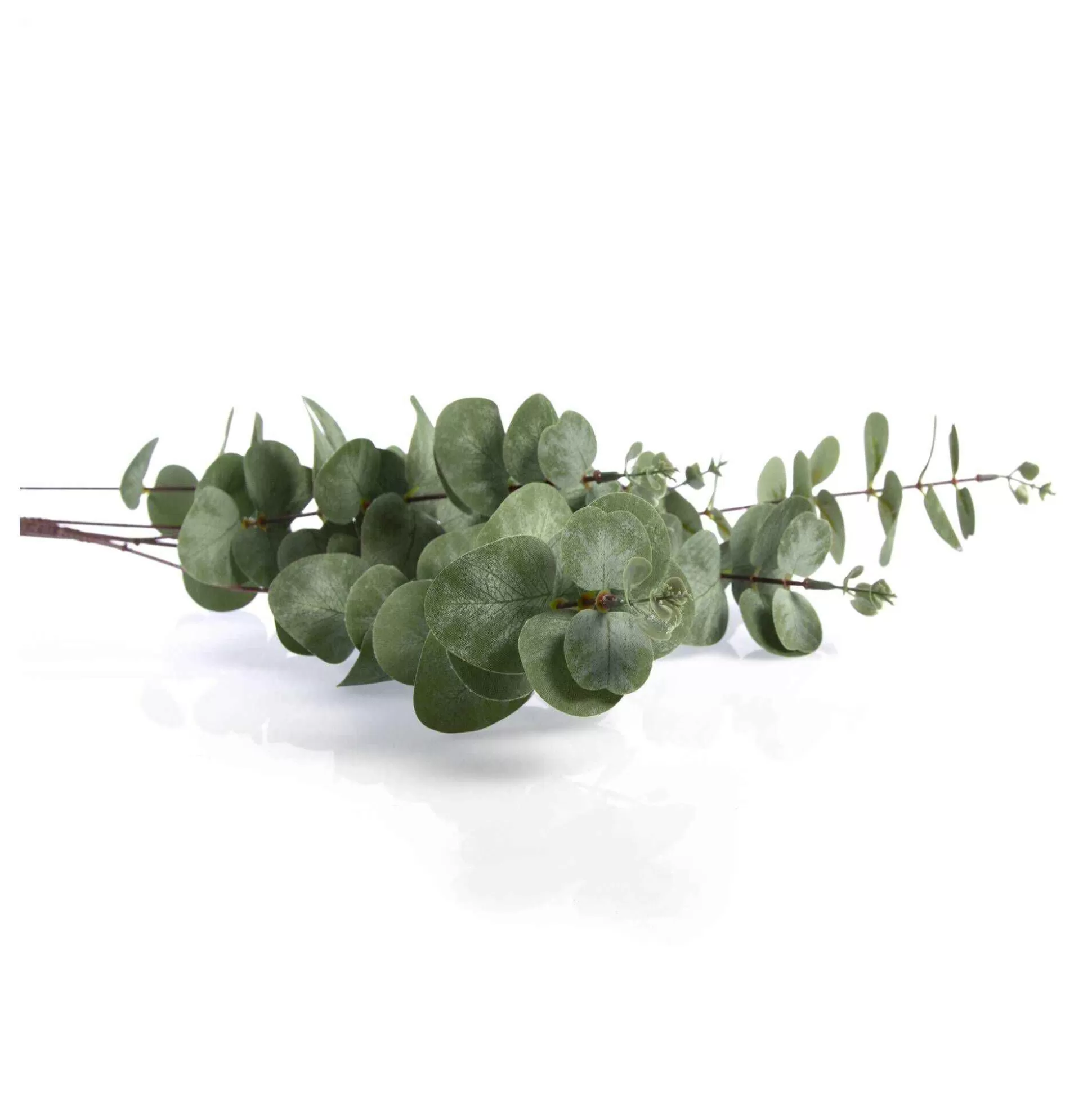 Eucalyptus Stem 100Cm-Hobbycraft New