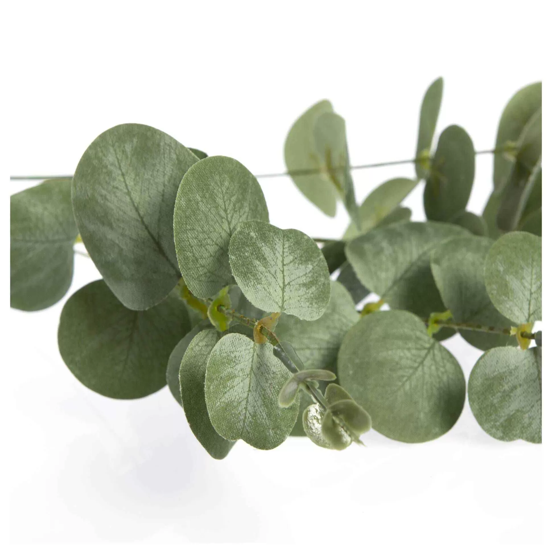 Eucalyptus Stem 50Cm-Hobbycraft Best Sale