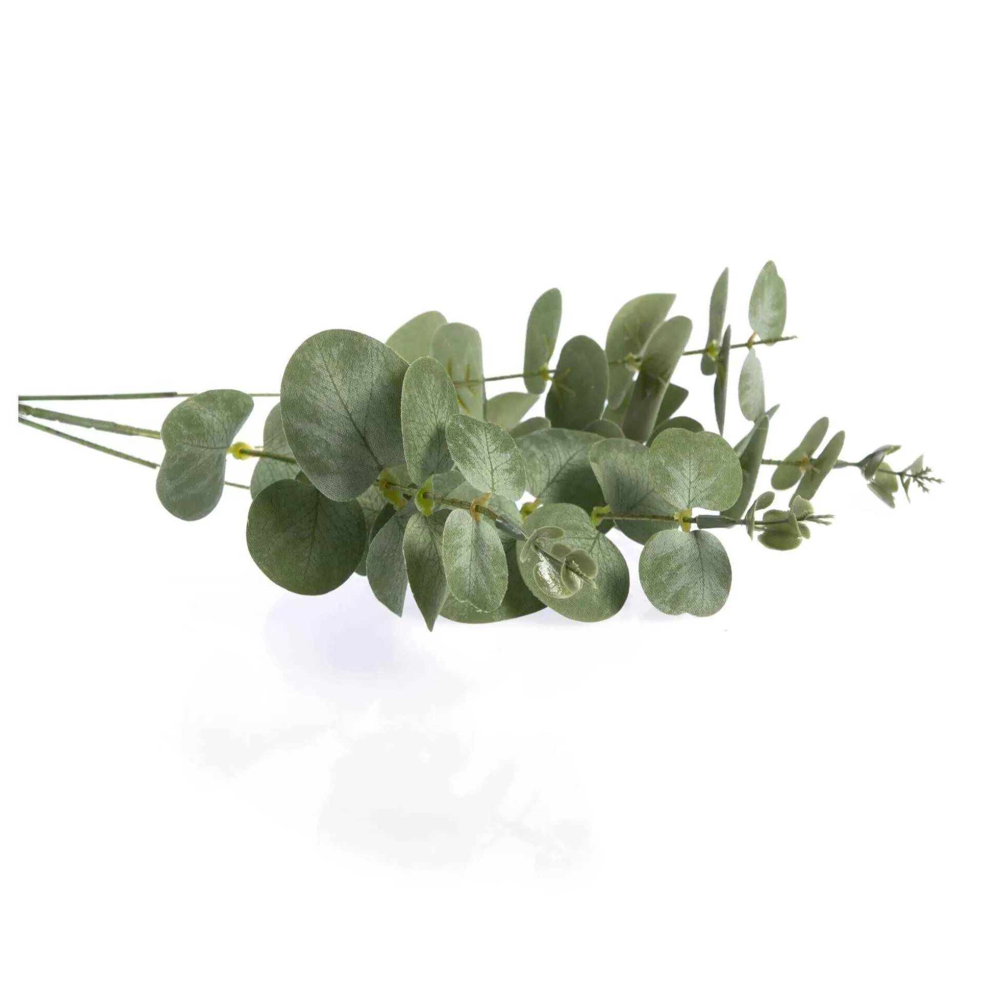 Eucalyptus Stem 50Cm-Hobbycraft Best Sale