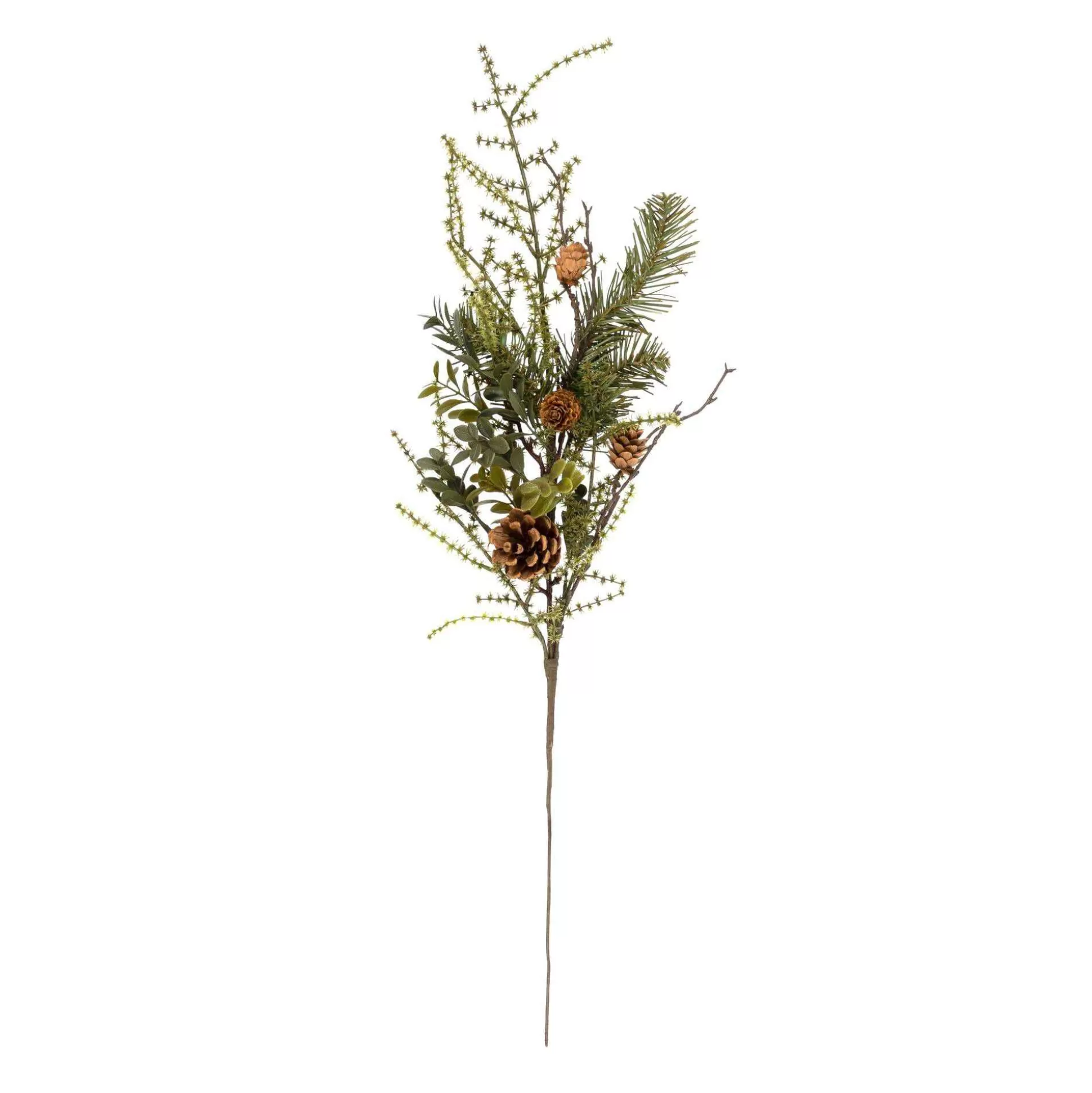 Fern And Pinecone Stem 70Cm-Hobbycraft Cheap