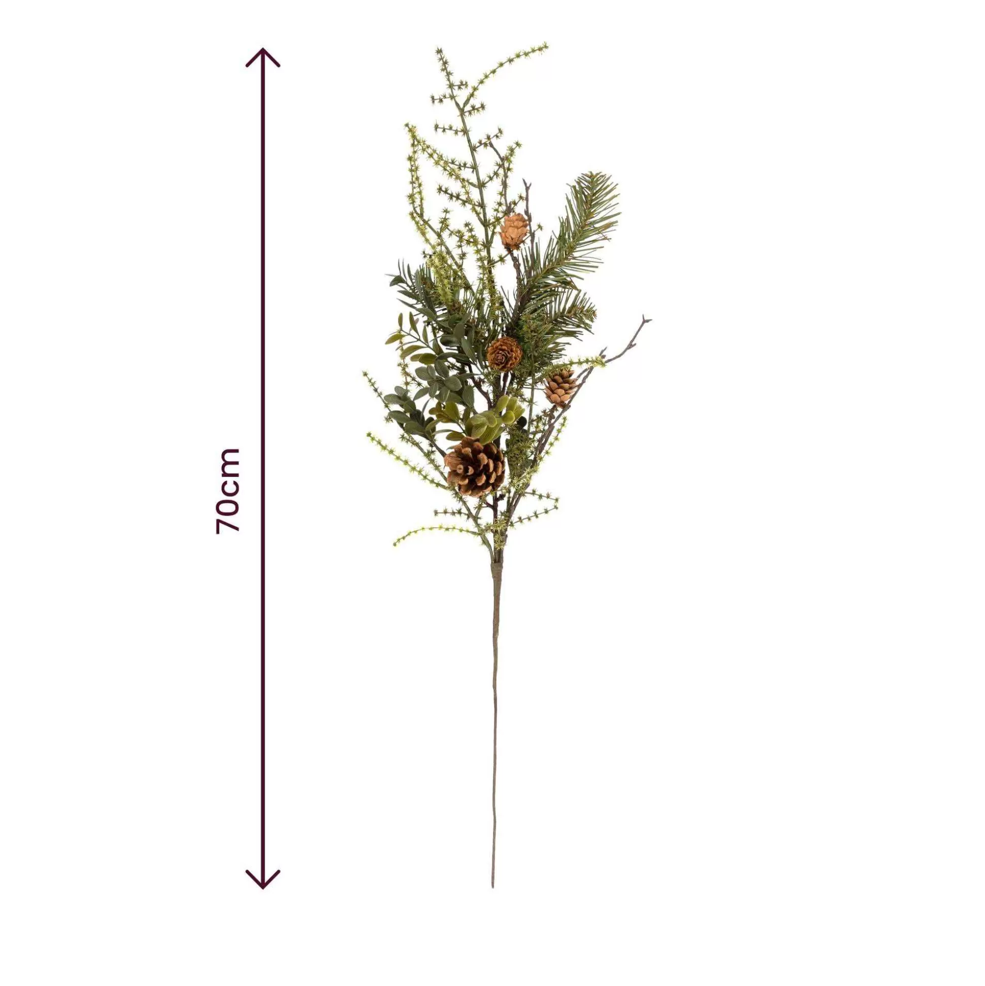 Fern And Pinecone Stem 70Cm-Hobbycraft Cheap