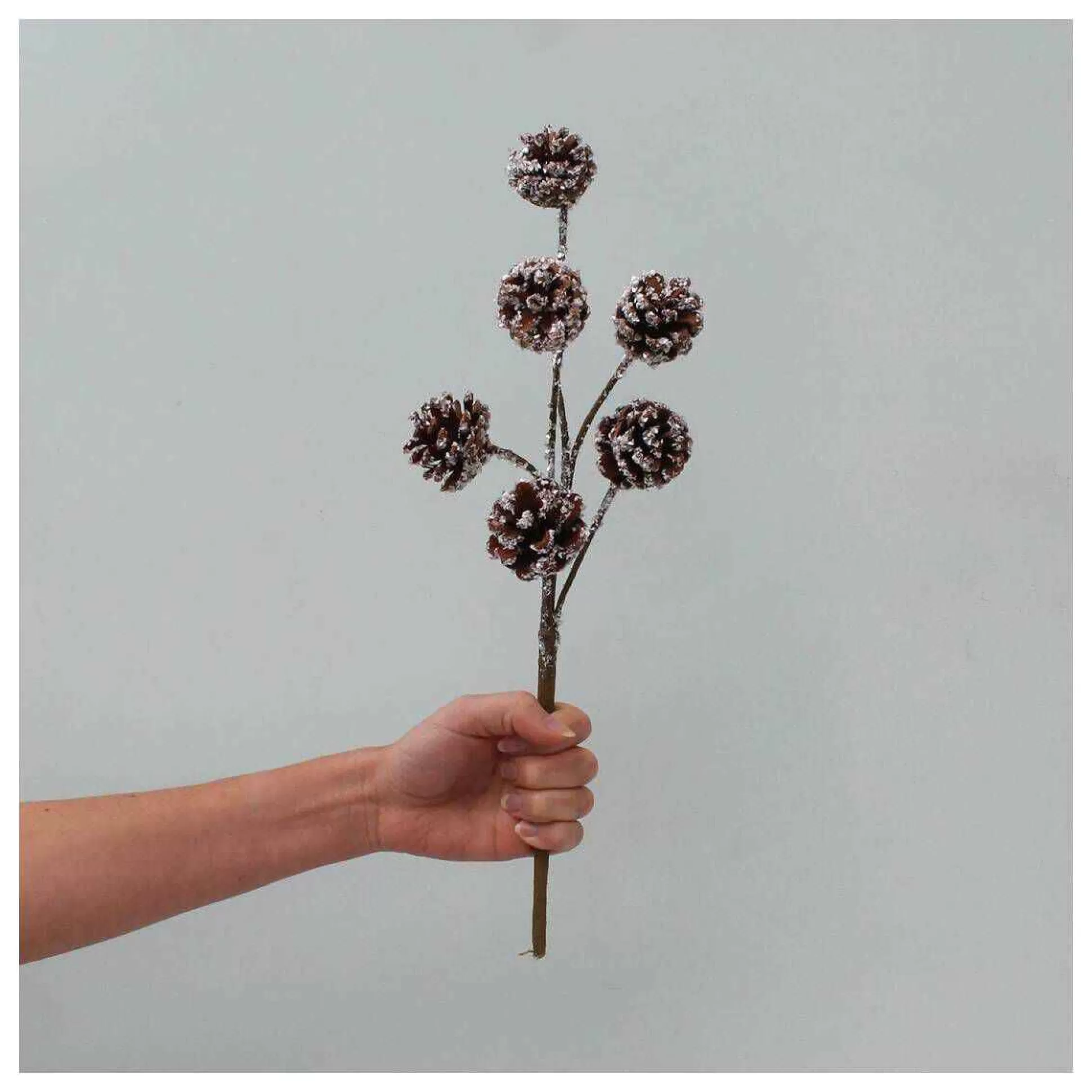 Frosted Fir Cone Pick 40Cm-Hobbycraft Best Sale