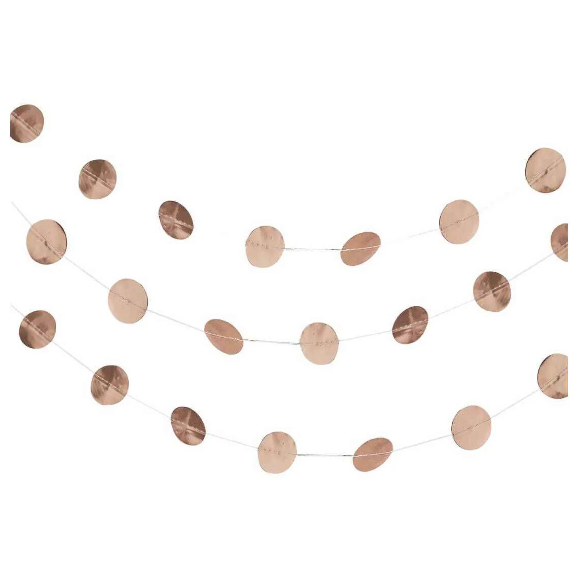 Ginger Ray Beautiful Botanics Rose Gold Circle Garland 5M-Hobbycraft Hot