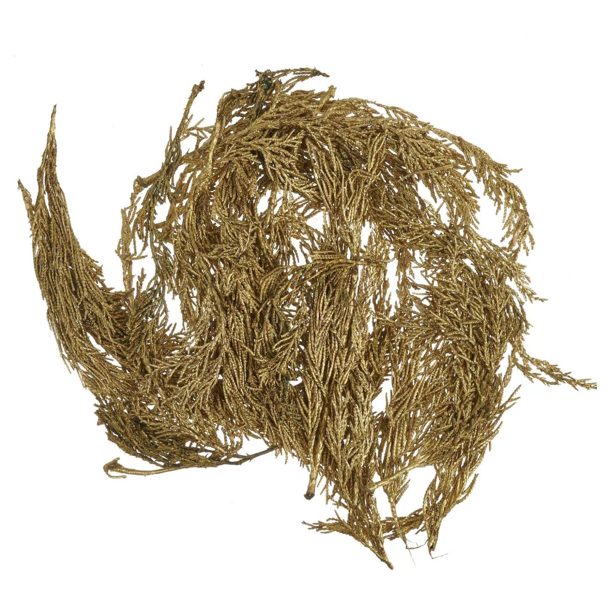 Gold Cypress Leaves 50G-Hobbycraft Sale