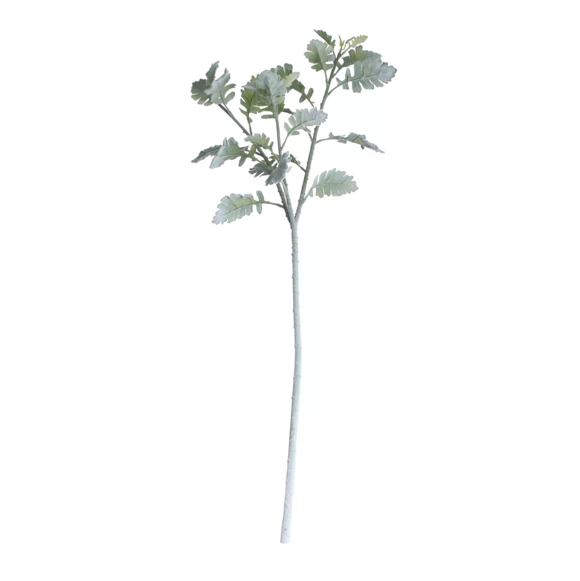 Long Stem Dusty Miller Spray 74Cm X 18Cm-Hobbycraft Cheap