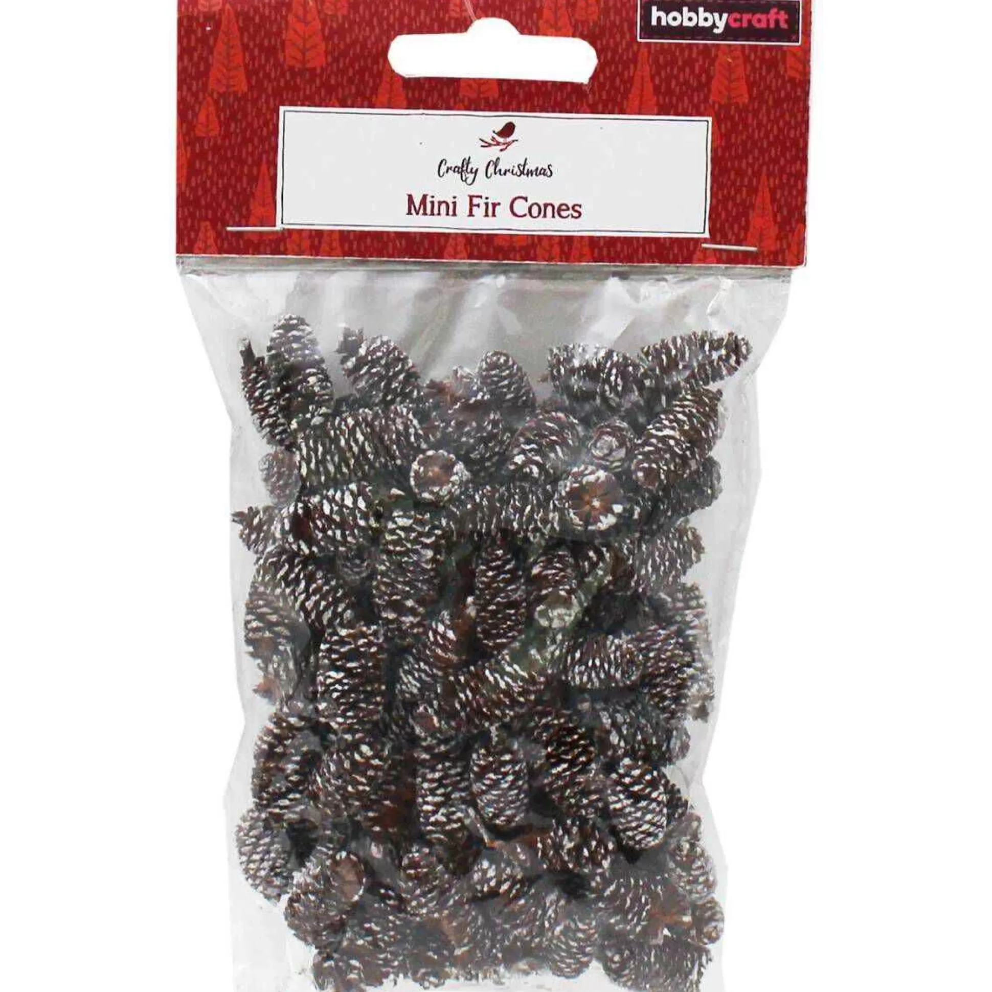 Mini Fir Cones 18G-Hobbycraft Clearance